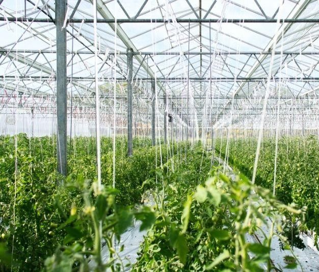 Business for sale in agricultural industry